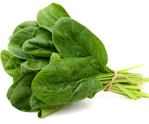 خرید اسفناج بخار پز از سایت معتبر شیراز سبزی