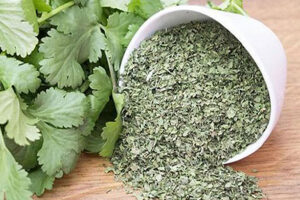 خرید گشنیز خشک از سایت معتبر شیراز سبزی