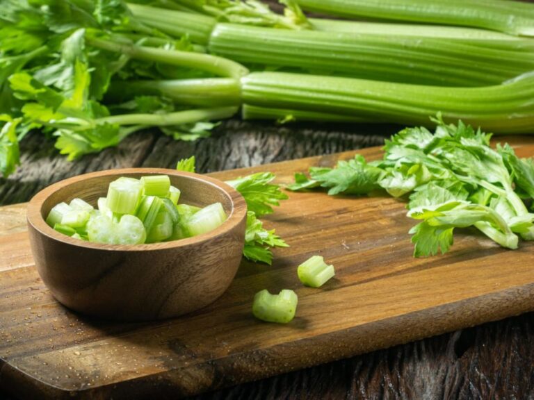 خرید کرفس تازه از سایت معتبر شیراز سبزی