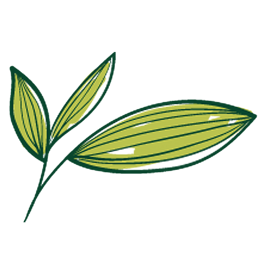 اولین سبزی مارکت آنلاین شیراز